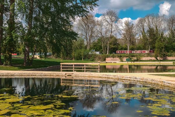 The ponds at Great Linford Manor Park
