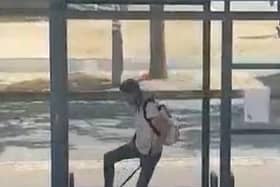 Hayley Smith caught on camera kicking poor Angel in a city bus stop. The attacks happened repeatedly, says the RSPCA