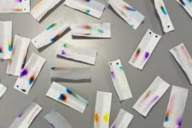 Students analysed different pen inks using chromatography