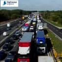 Queues on the M1 on Wednesday as traffic officers tried to round up a flock of rogue sheep