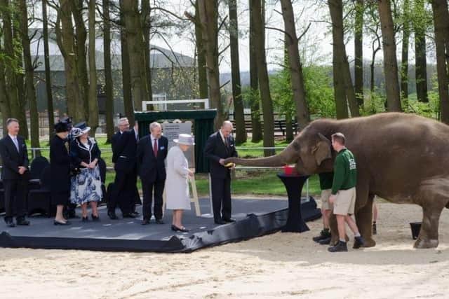 The Queen and Prince Philip meeting Donna in 2017