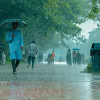 Umbrellas at the ready: wet and windy weather set for Milton Keynes