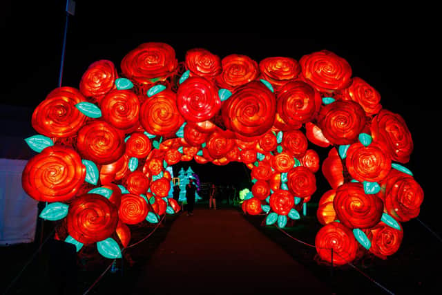 The Land of Lights Festival features a rose arch especially for Valentine's Day