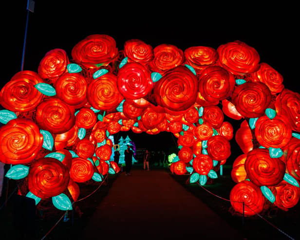 The Land of Lights Festival features a rose arch especially for Valentine's Day