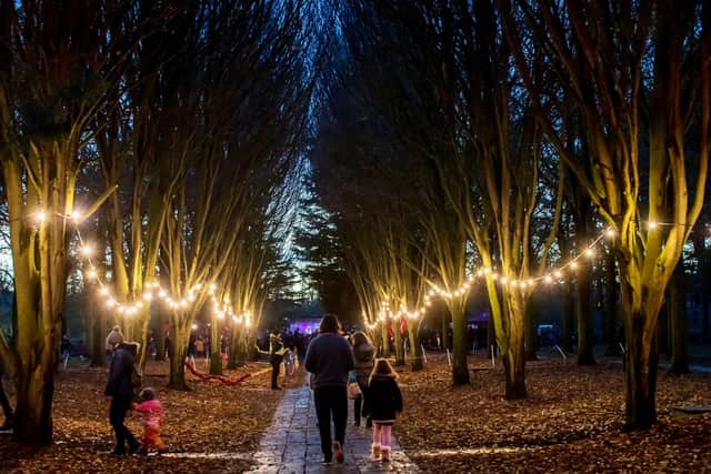 Carols at the Tree Cathedral