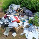 The dumped rubbish is attracting rats, say residents