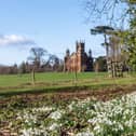 Stowedrops at Stowe Gardens