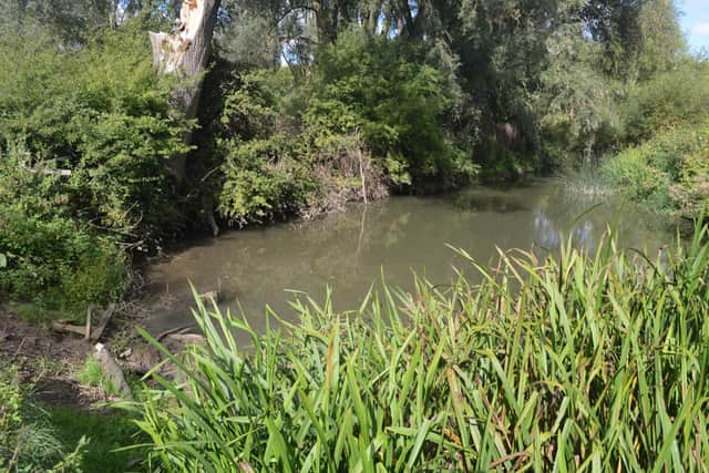 This former bomb crater is now a pond