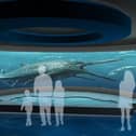 This is how Iggy the Ichthyosaur would have looked 180 years ago