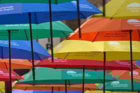 The umbrella project
