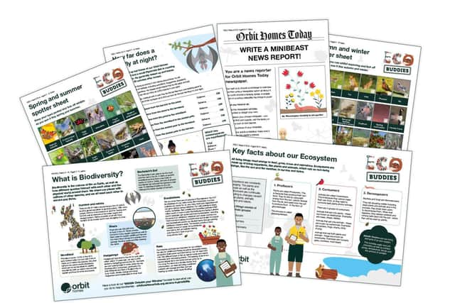 ‘Eco Buddies’ from Orbit Homes is aimed at 7-11 year olds and offers free activities and resources.