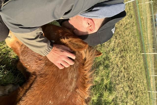 Darren Smith finds horses help with his PTSD from his army experiences