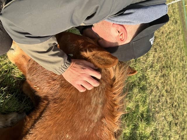 Darren Smith finds horses help with his PTSD from his army experiences
