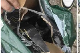 This is how the seven kittens were dumped in MK. You can just see one tiny face peeking out of the bag after it was opened