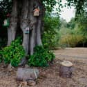A luxury hotel just outside of Milton Keynes is marking the first anniversary of its award-winning ‘Butterfly Resort’ by transforming the conservation project into a wider butterfly trail across its 38-acre estate.