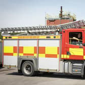 Firefighters helped release a dog stuck in a drainage tunnel