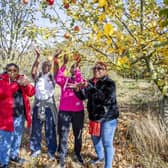 Don't miss Apple Day at the Woughton on the Green Community Orchard