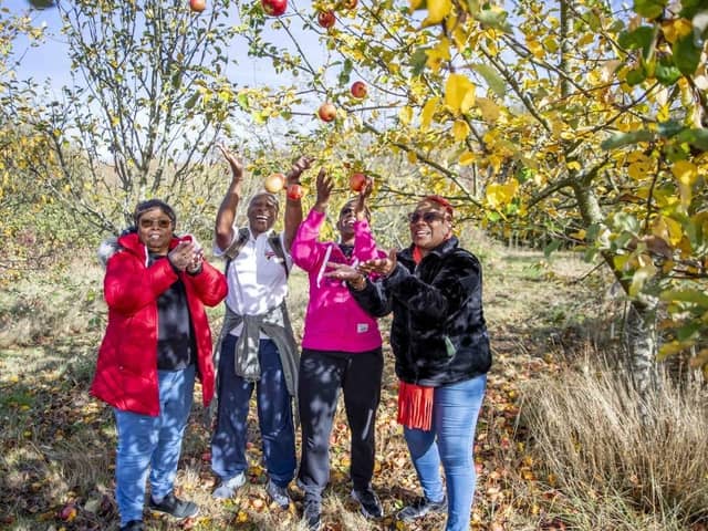 Don't miss Apple Day at the Woughton on the Green Community Orchard