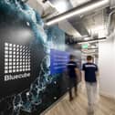 Top Government ranking for Bluecube as leading apprenticeship employer. Picture - Steve Lancefield / Bluecube Technology Solutions