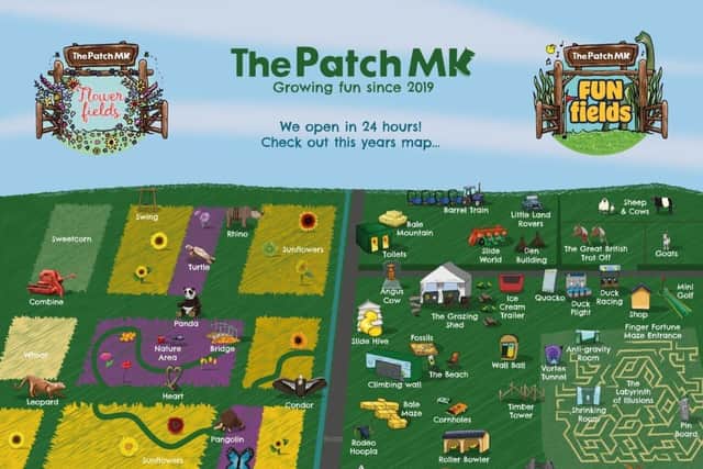 A map of the site at The Patch MK, which has been voted as having the second best sunflower farm in the country