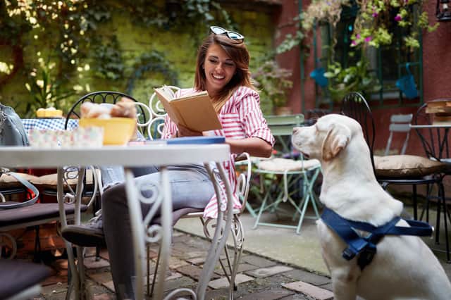 More than a third of surveyed Brits refuse to dine at a restaurant that doesn’t accept pets (photo: Adobe)