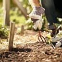 The sunny weather is inspiring many of us to get out in our gardens. It's still a little early for summer bedding plants but there's a lot that can be done!