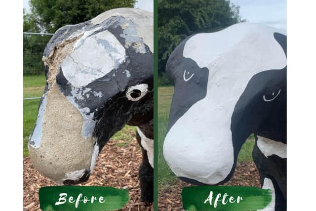 MK's concrete cows are looking so much better after their makeover