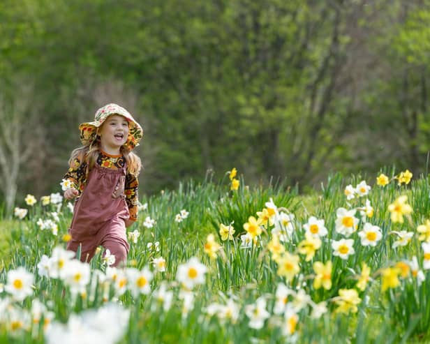Enchanted Easter Trail at Tumblestone Hollow