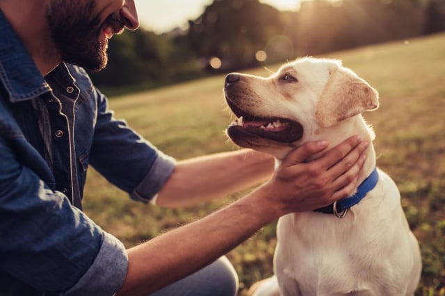 Are you in the position to give an animal a loving home?
