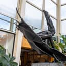 The Flying Carpet sculpture at centre:mk