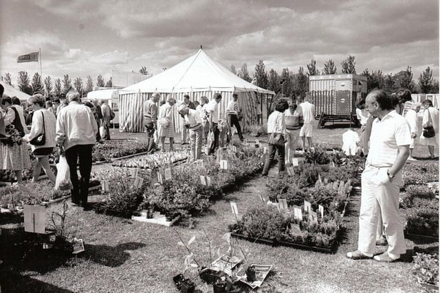 The Bowl wasn;t just for bands in those days - it hosted regular crowd-pulling events such as this garden show.