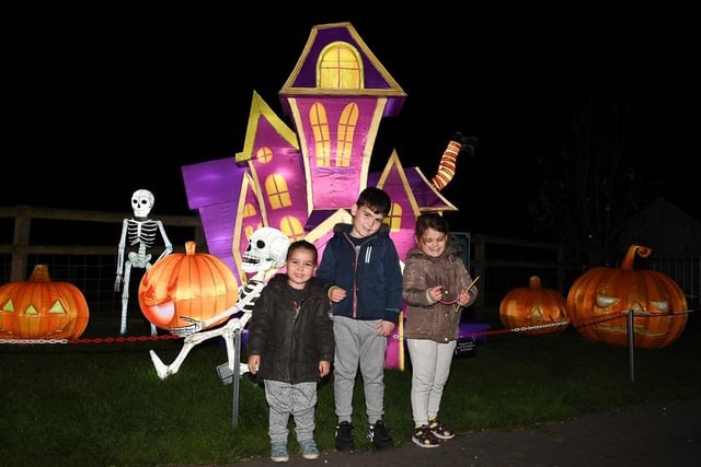 Visitors to the Land of Lights Festival at Gulliver's Land were treated to a magical display