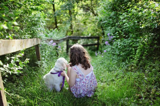 Does your child know how to be safe around dogs? Animal News Agency