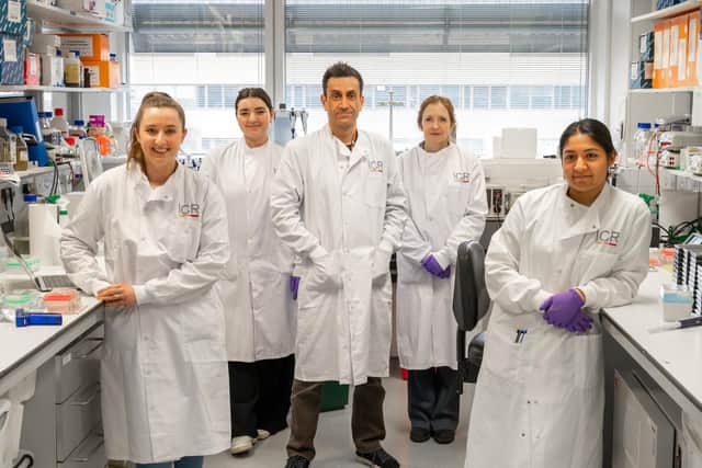 The ICR team led by Prof Chris Jones in the lab.