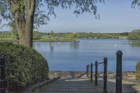 Avian flu has killed some of the wild birds at Caldecotte Lake