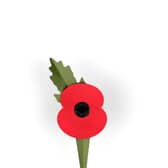 New new plastic-free poppy launches today in readiness for Remembrance Day