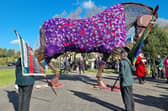 Watch as War Horse memorial gets purple poppy coat to remember fallen service animals