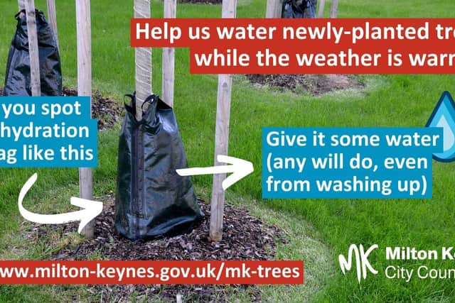 Used dishwater is fine to water the council's newly-planted trees in Milton Keynes