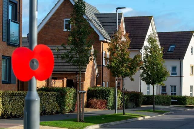 BG - SGB-6872 - A lamppost poppy at a Barratt and David Wilson Homes development