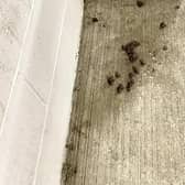 People are pooing on the floor in Sainsbury's car park in Central Milton Keynes