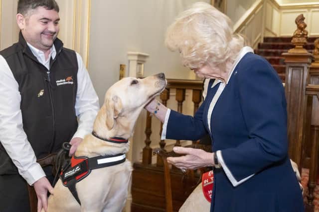 Her Majesty The Queen with Bio Detection Dog, Storm