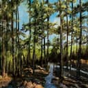 Landscape in Oils by Robin Souter