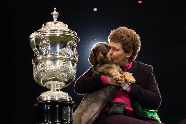 This is who won Best in Show for Crufts 2020 (Picture: Leon Neal/Getty Images)