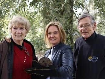 Hedgehogs released into life of luxury at Woburn Abbey