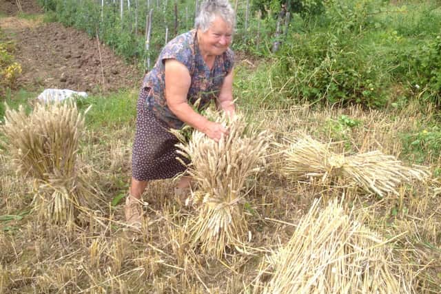 Maria on the allotment