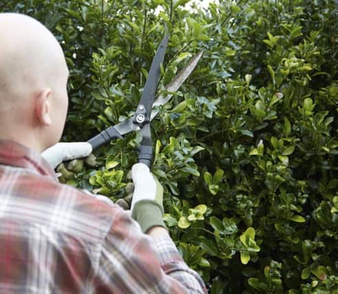 Gardening SUS-140311-163315003
