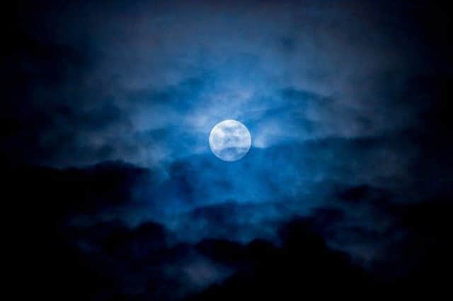 Photo: Shutterstock