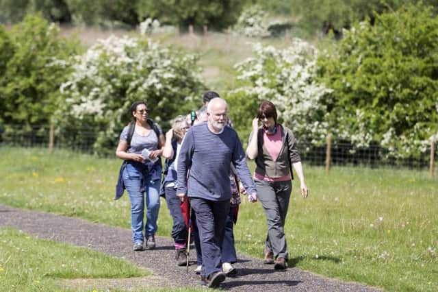 The new walks launch this week