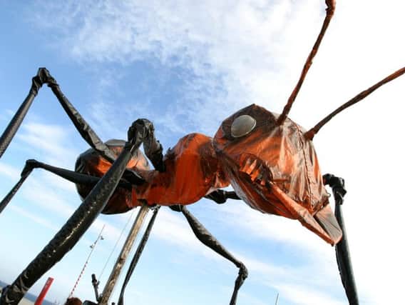 Sarruga and their city-conquering Insectes will parade as part of IF: Milton Keynes International Festival