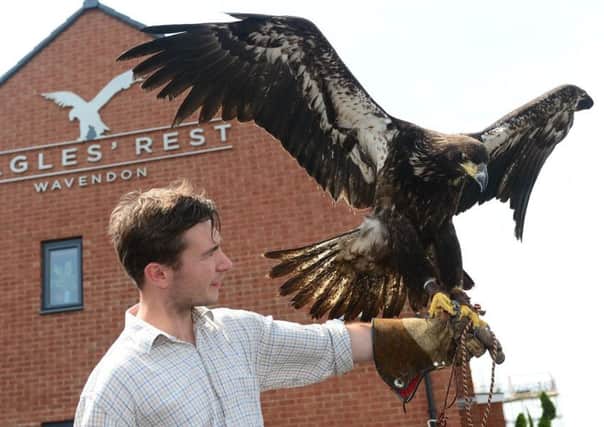 In celebration of three new show homes opening at its Eagles Rest development in Milton Keynes, David Wilson Homes South Midlands recently hosted an exclusive Birds of Prey show to welcome eager homebuyers and local residents.